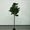 large faux trees indoor